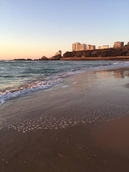 Appartement Cote Des Basques Biarritz Esterno foto